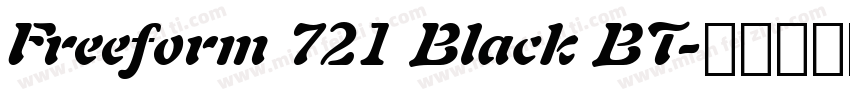 Freeform 721 Black BT字体转换